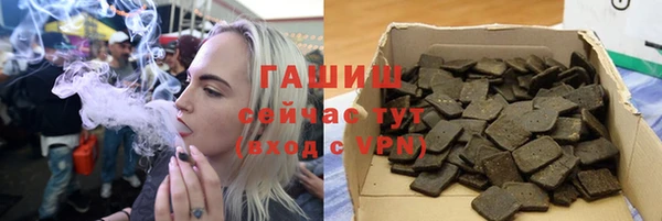 мдпв Богородицк