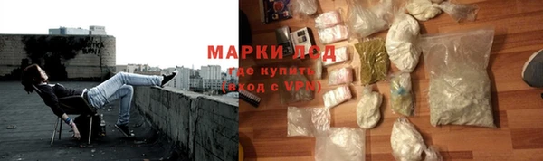 мдпв Богородицк
