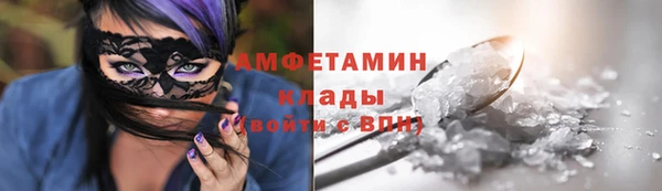 мдпв Богородицк