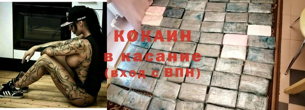 мдпв Богородицк
